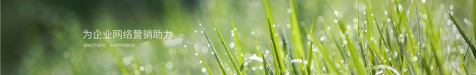 ݰ綯޹˾